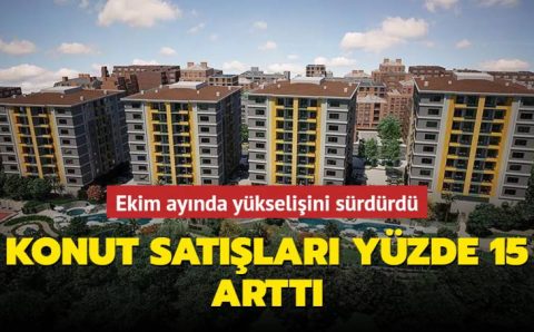 Сфера недвижимости показывает хорошие результаты