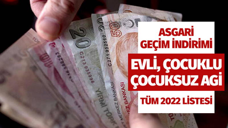 На какие доплаты к МРОТ можно рассчитывать в Турции в 2022 году