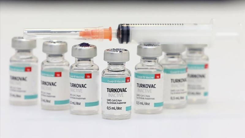 Турция одобрила применение вакцины TURKOVAC