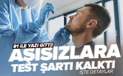 Минздрав Турции массово отменяет обязательное ПЦР-тестирование