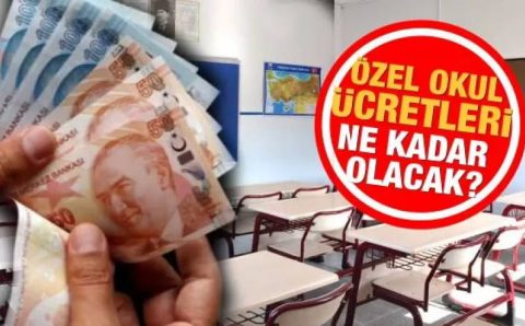 Определен потолок повышения стоимости частных школ в Турции