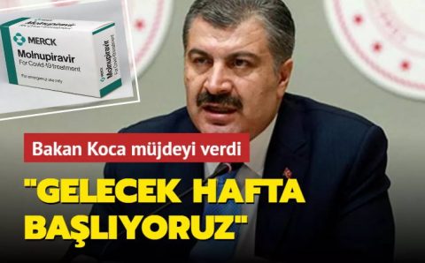 Коджа об «омикроне», новом препарате для пожилых и заполняемости больниц