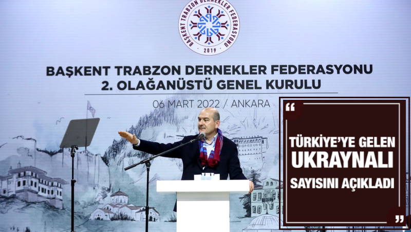 Глава МВД Турции назвал число беженцев из Украины