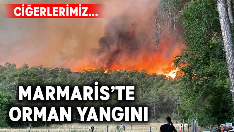 Борьба с масштабным пожаром в Мармарисе продолжается вторые сутки