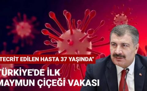 В Турции зафиксирован первый случай оспы обезьян