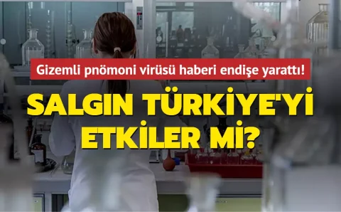 Опасаться ли нового таинственного вируса пневмонии в Турции?