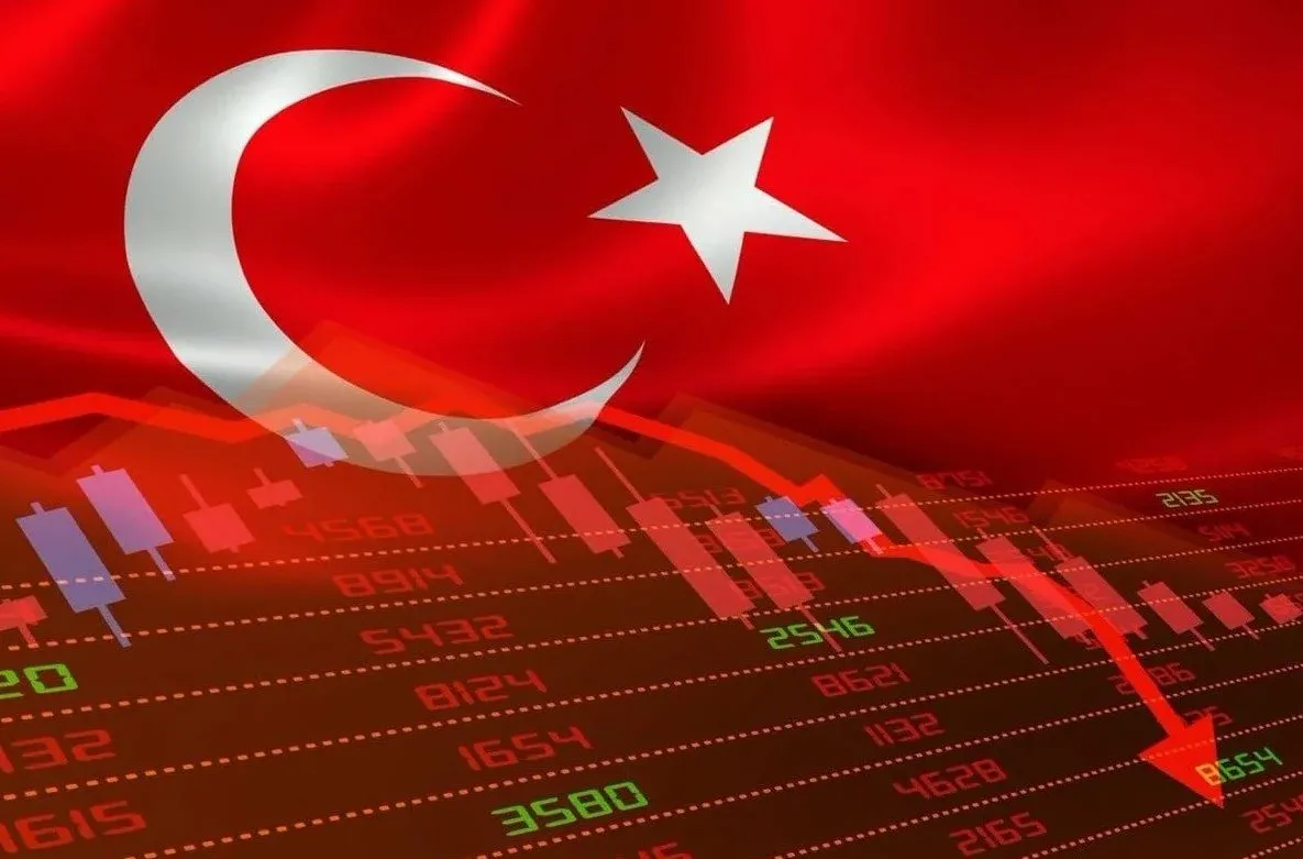 Турция занимает 7 место среди экономик развивающихся стран