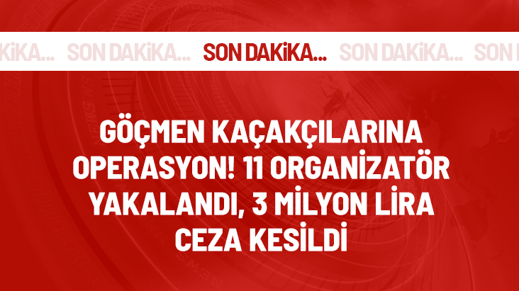 В Измире задержаны 11 контрабандистов и 92 нелегалов