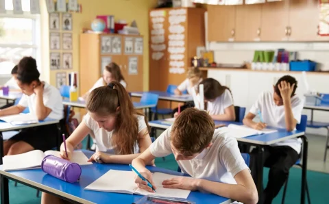 В Турции изменят школьную программу, цель: «снижение учебной нагрузки»