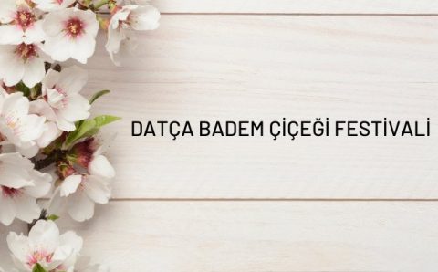 В Датче пройдет фестиваль цветущего миндаля