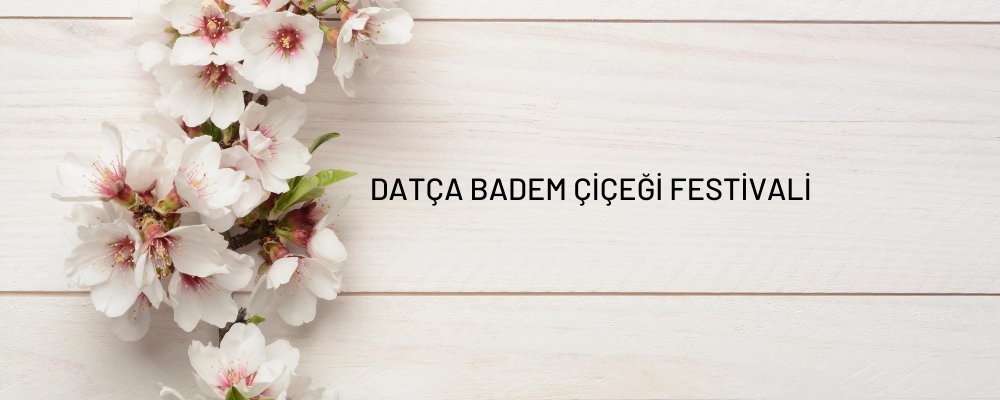 В Датче пройдет фестиваль цветущего миндаля