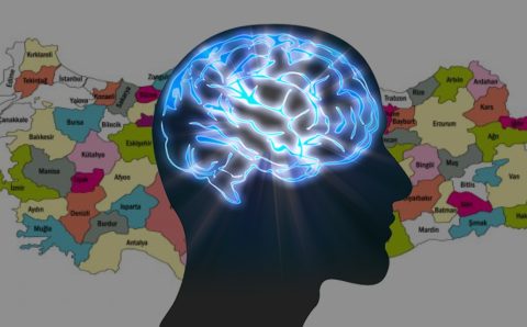 Средний показатель IQ в Турции ниже среднего: 95,63 баллов